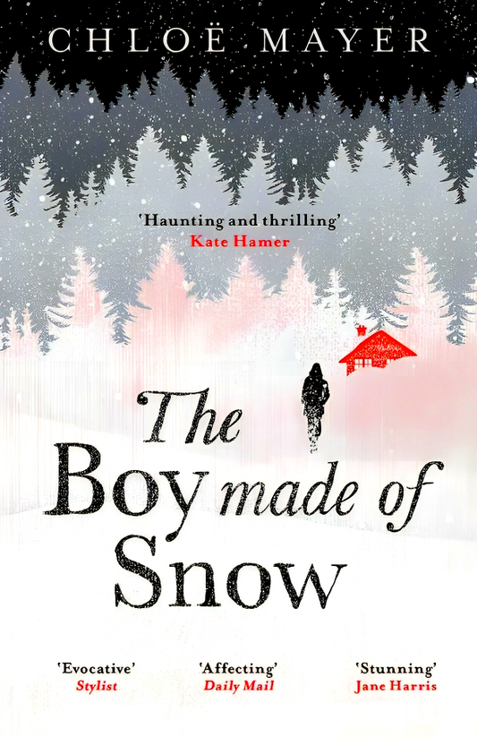 The Boy Made of Snow