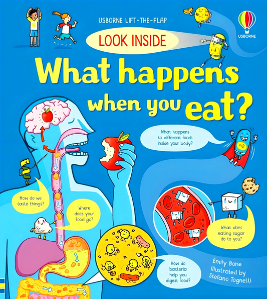 Look Inside What Happens When You Eat