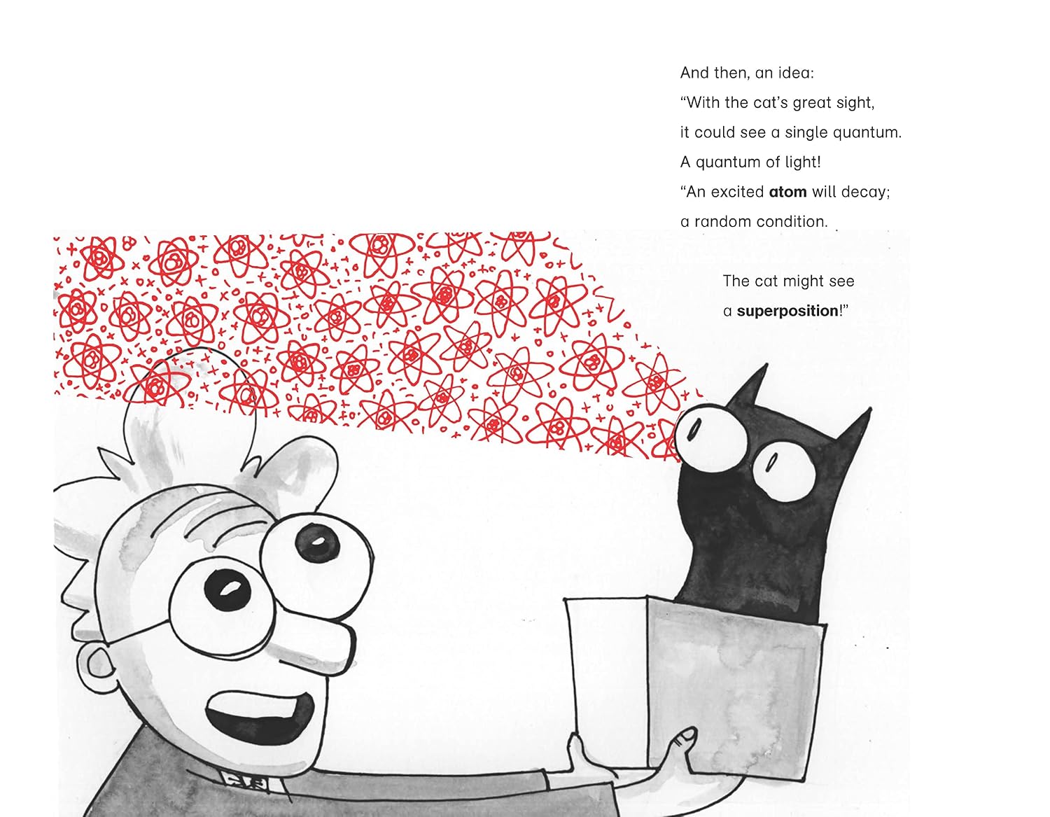 The Cat In The Box by Chris Ferrie – book cover