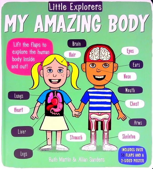 Little Explorers: Human Body