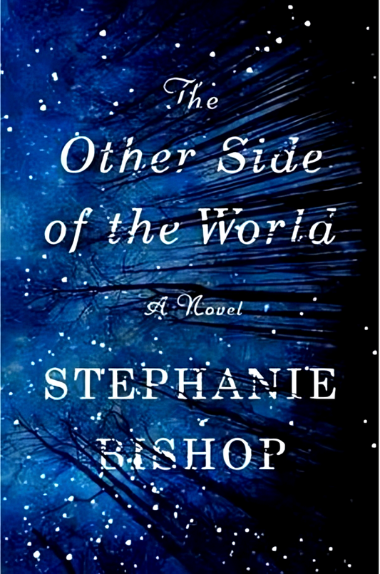 The Other Side of the World: A Novel