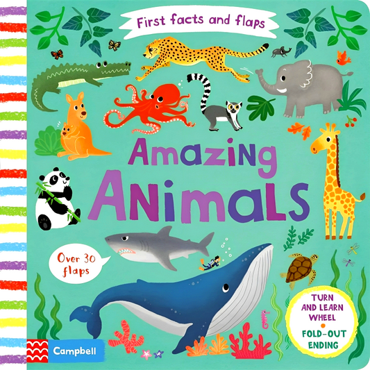 First Flaps And Flaps Amazing Animals