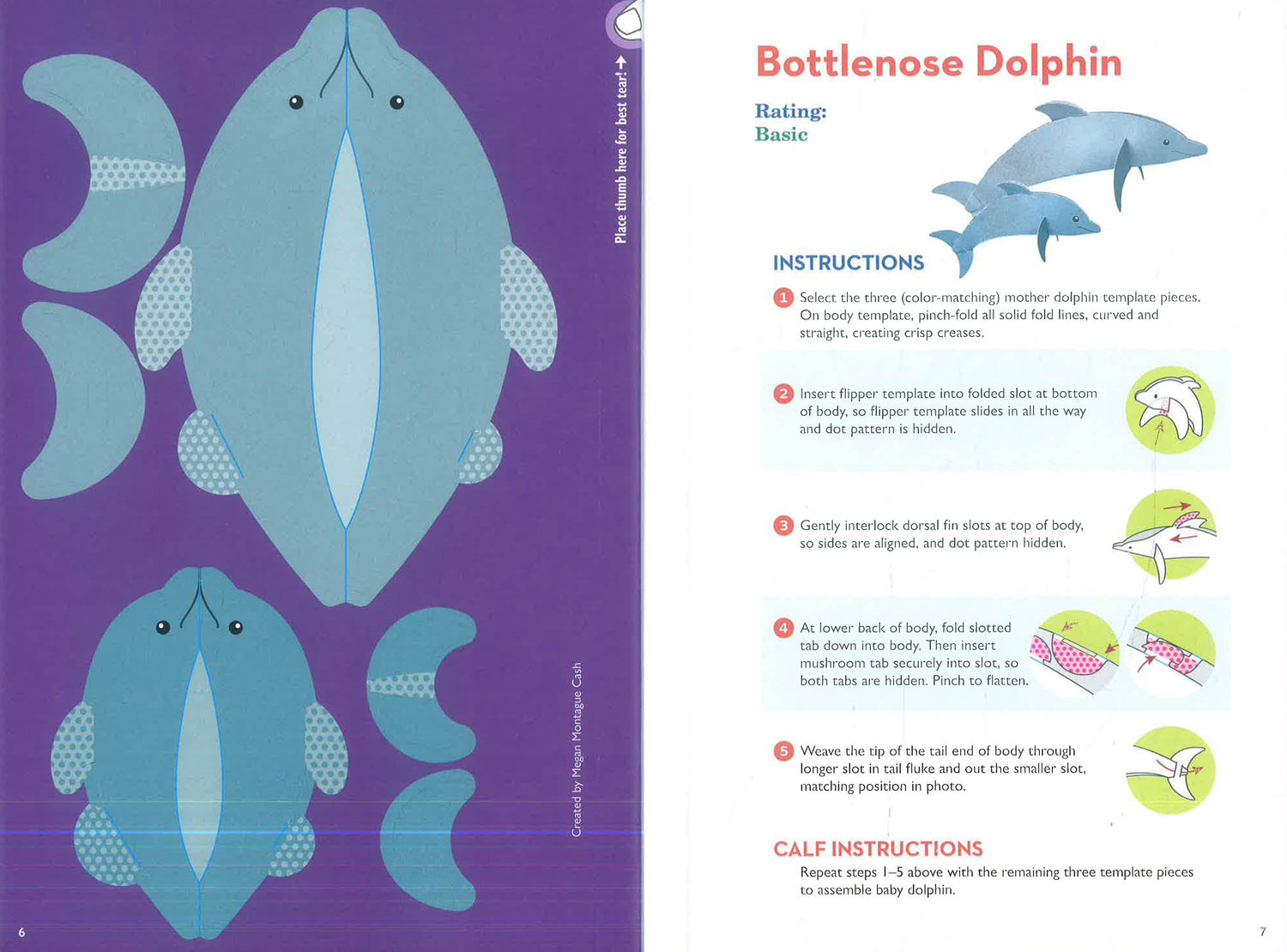 Paperfold Sea Creatures: 10 Amazing Punch-Out-And-Fold Paper Animals by Megan Montague Cash – book cover