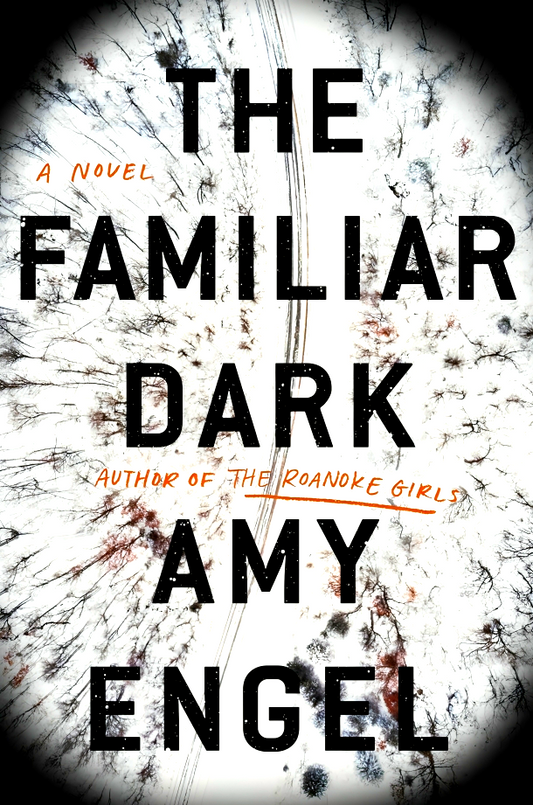 The Familiar Dark: A Novel