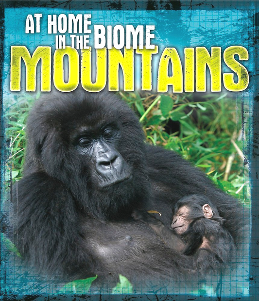At The Home In The Biomes: Mountains