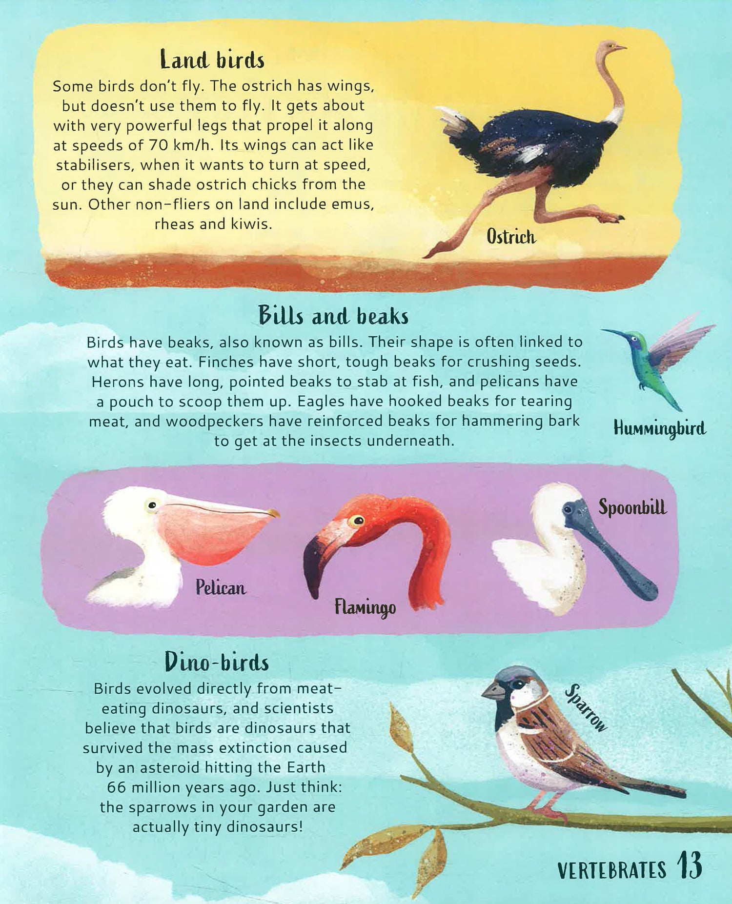 Get Your Animals In Order: Classifying The Animal World – BookXcess