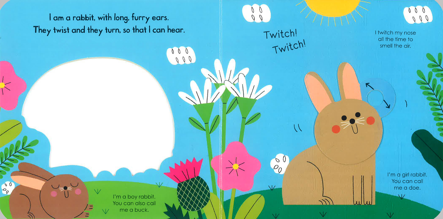 My Little Green World: Rabbit – BookXcess