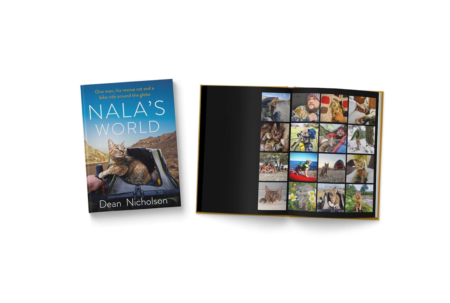 Translation missing: en.sections.featured_product.gallery_thumbnail_alt
