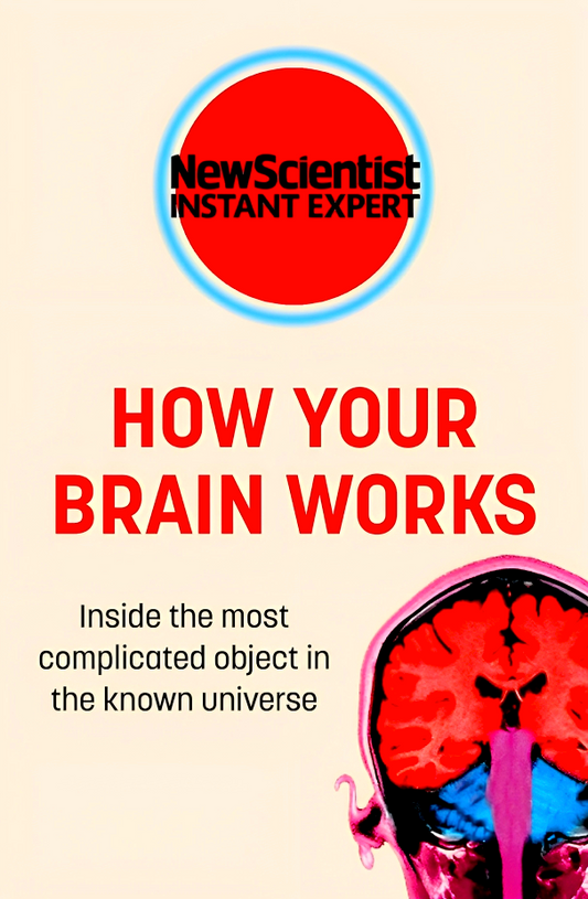 How Your Brain Works: Inside the most complicated object in the known universe
