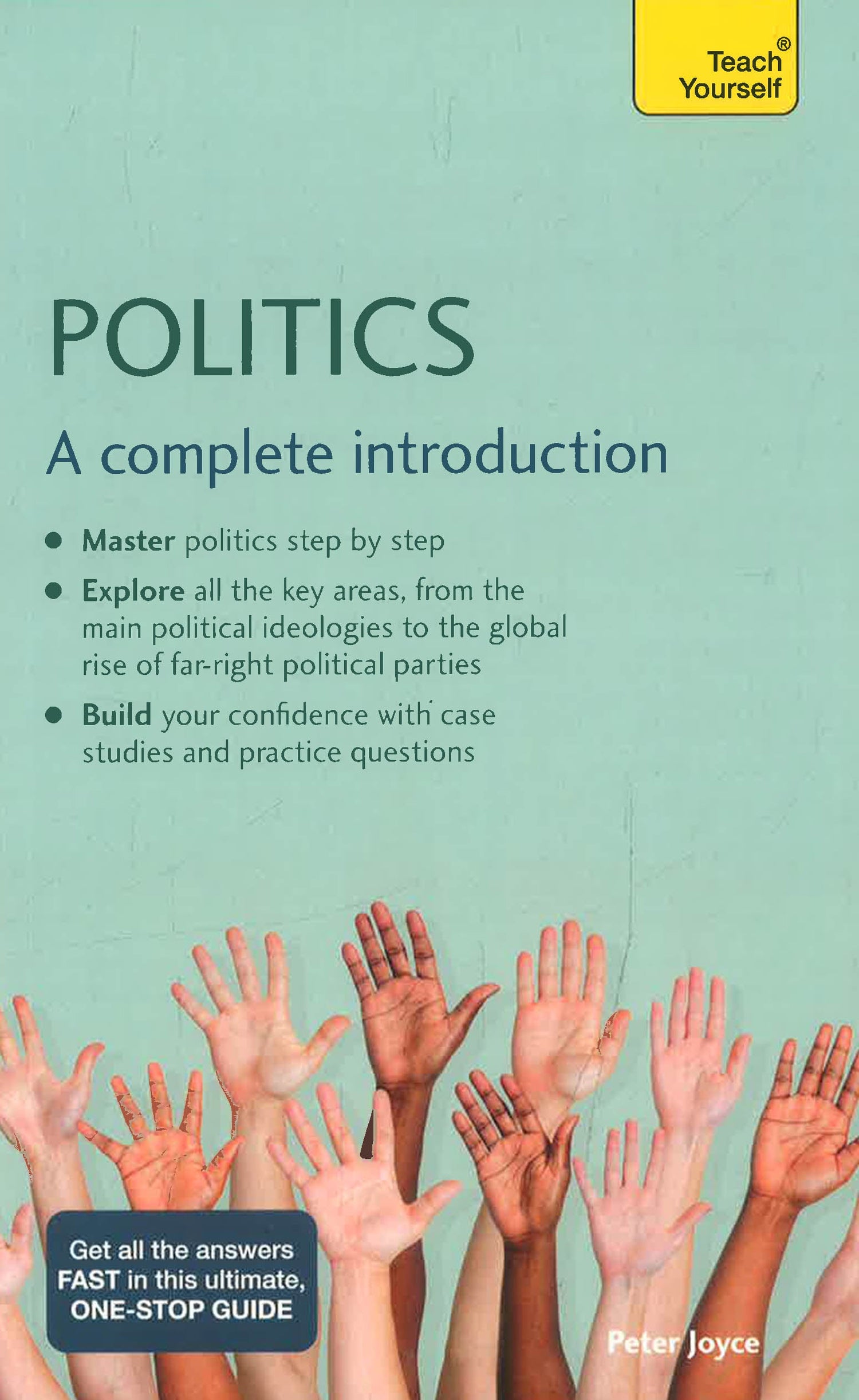 Making Politics Simple Teach Yourself- Politics: A complete introduction – BookXcess