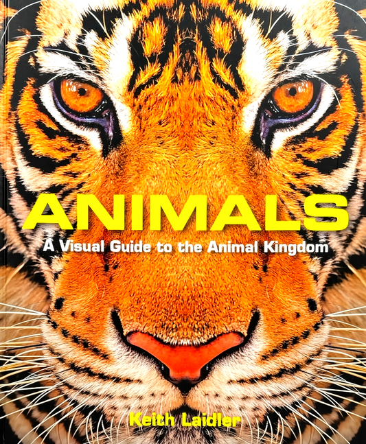 Animals: A Visual Guide to the Animal Kingdom