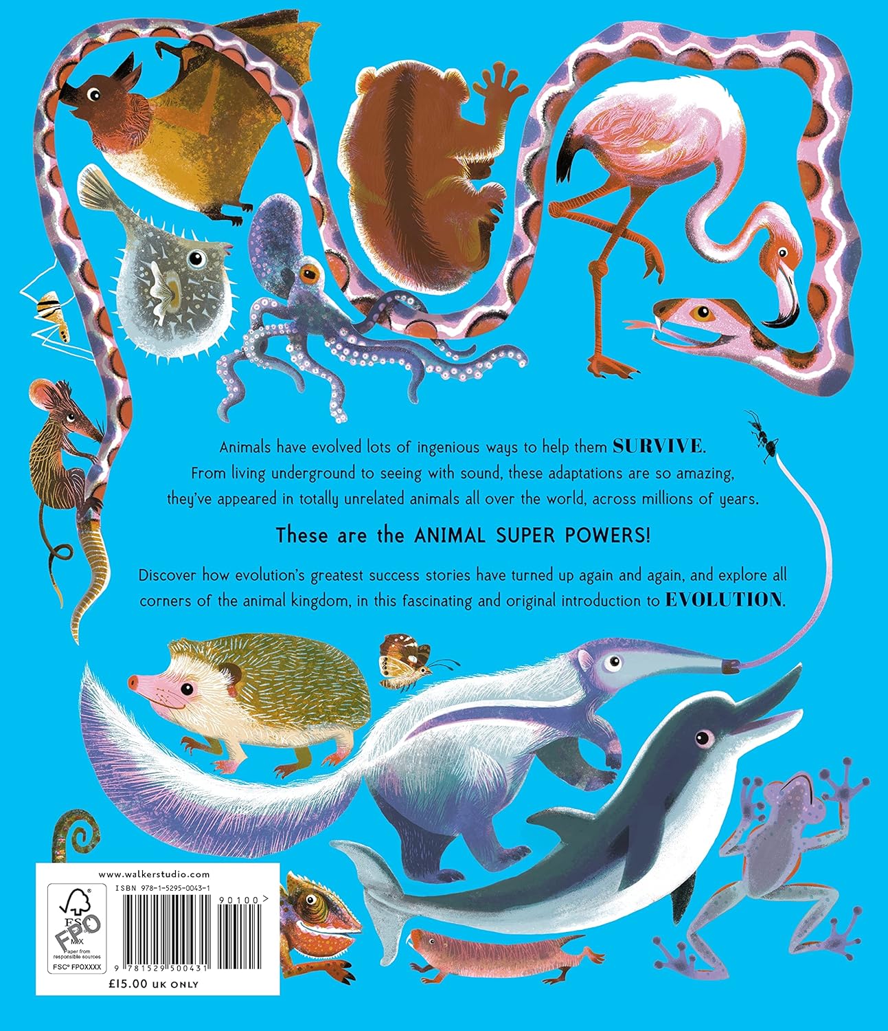 Animal Super Powers: The Most Amazing Ways Animals Have Evolved – BookXcess