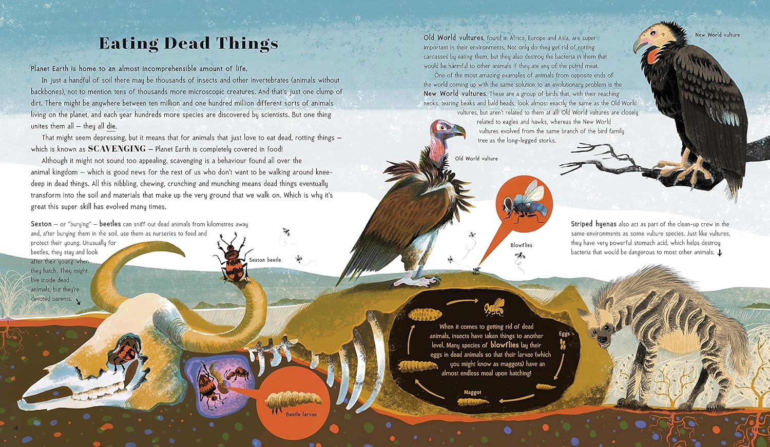 Animal Super Powers: The Most Amazing Ways Animals Have Evolved – BookXcess