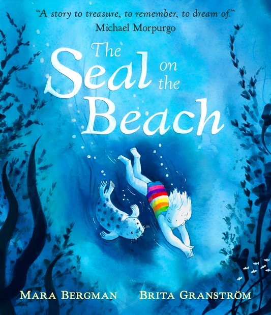 The Seal On The Beach