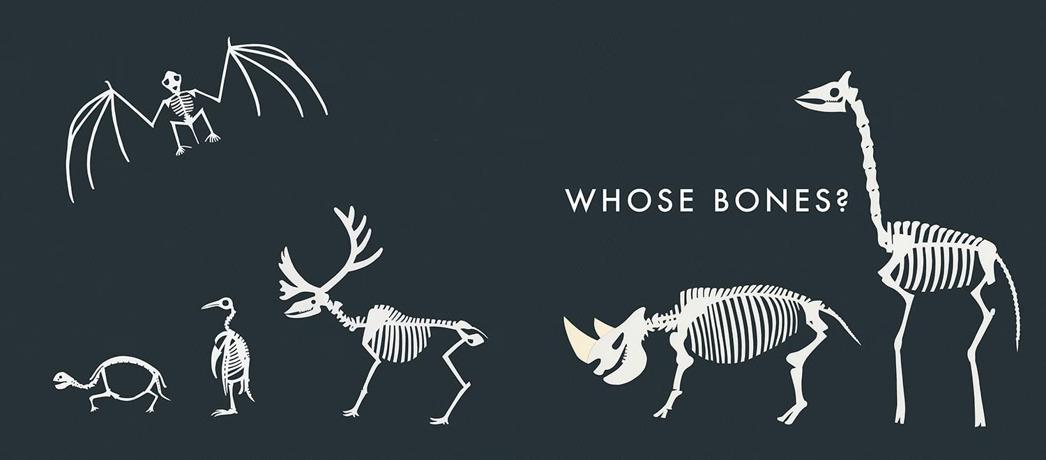 Whose Bones Are Those? by Chihiro Takeuchi – book cover
