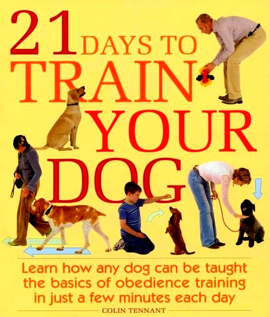 21 Days To Train Your Dog