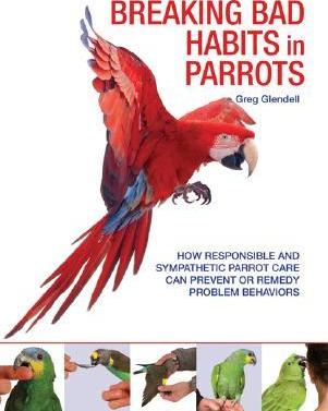 Breaking Bad Habits In Parrots