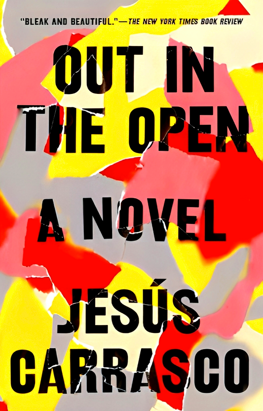 Out In The Open: A Novel