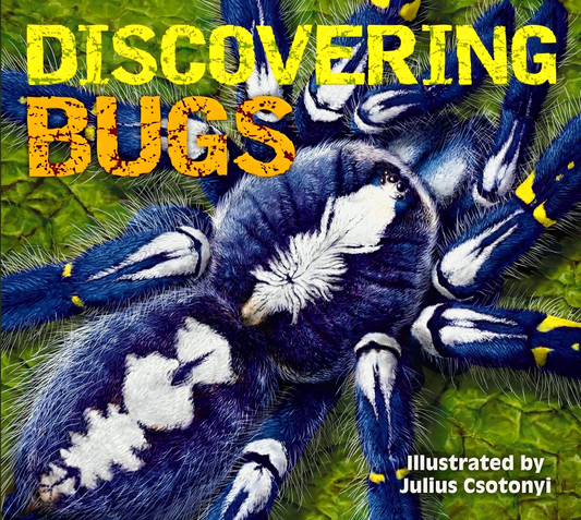 Discovering Bugs