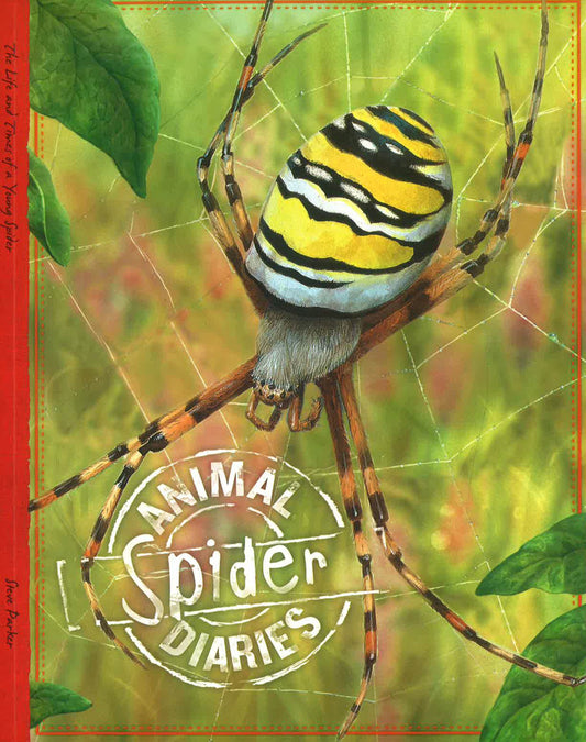 Spider (Animal Diaries)