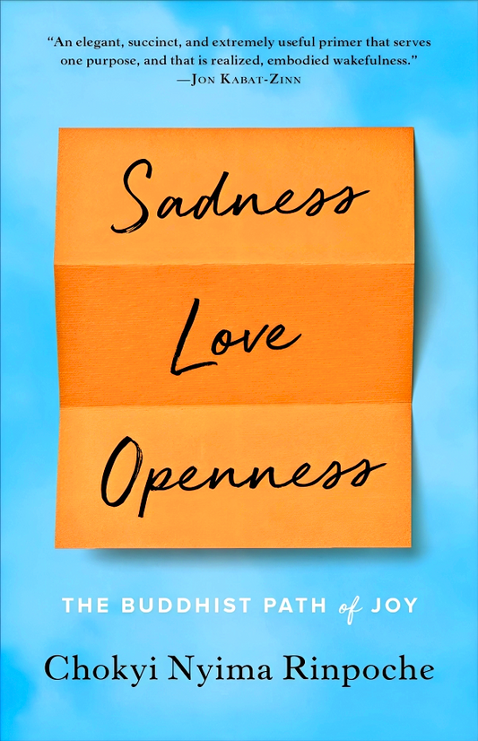 Sadness, Love, Openness: The Buddhist Path of Joy