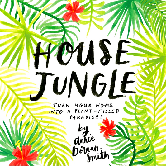House Jungle: Turn Your Home Into A Plant-Filled Paradise!