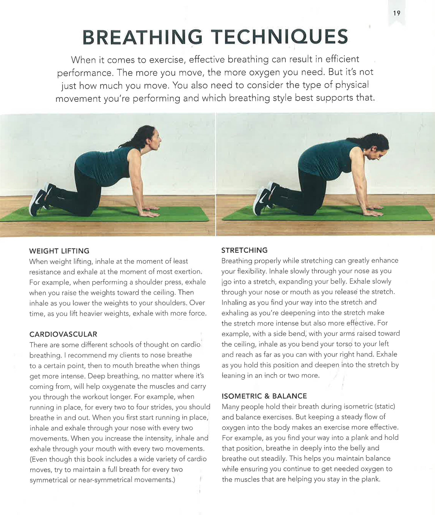 Static Balance Training Exercise Examples Static Balance Balance