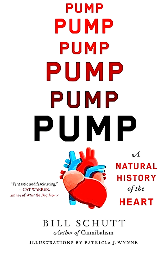 Pump: A Natural History Of The Heart