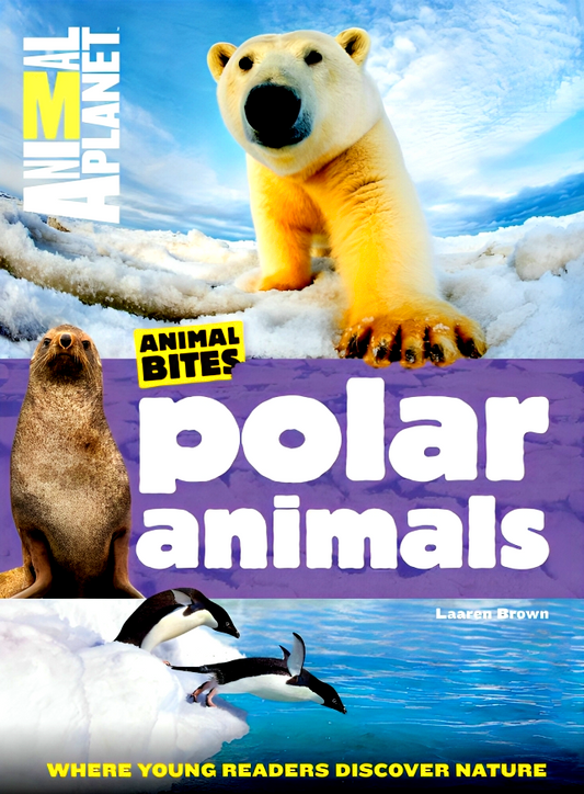 Animal Bites - Polar Animals