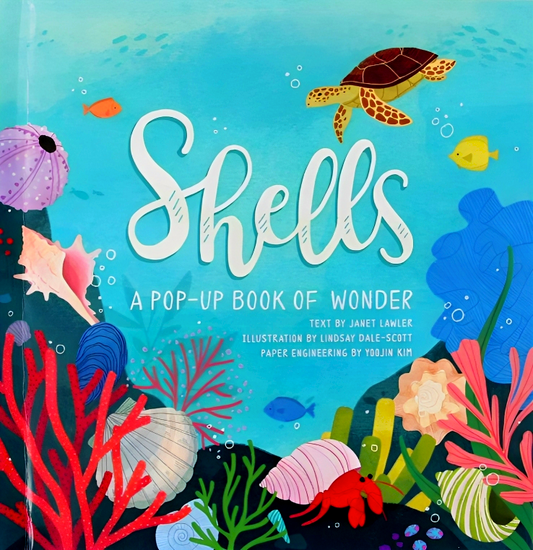 Shells: A Pop-Up Book of Wonder