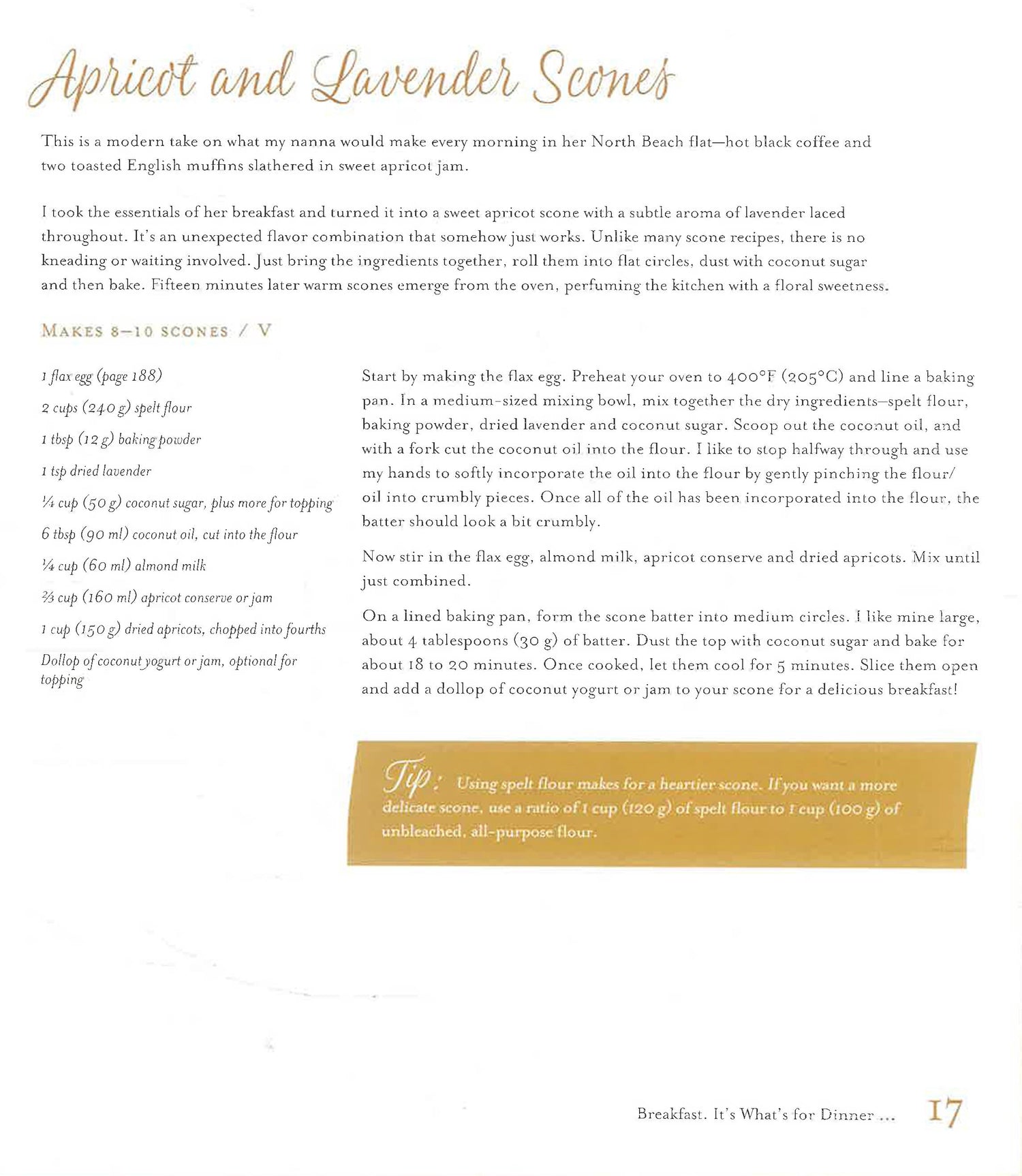 Alternative Vegan: Healthy Plant-Based Recipes That Break The Rules by Reginato, Marie – book cover