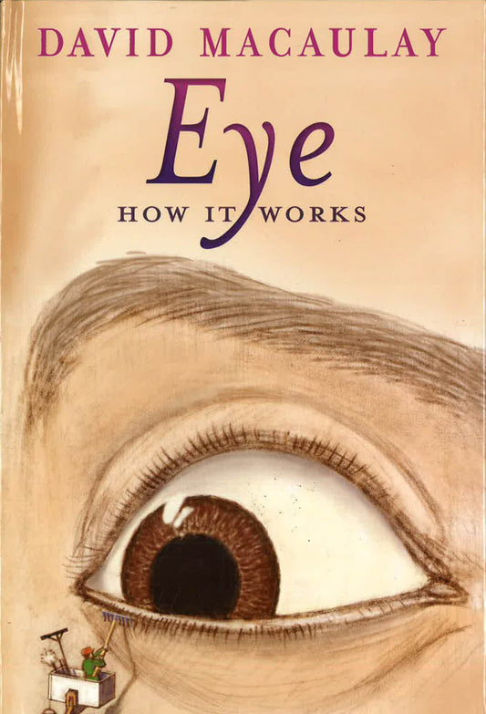 Eye: How It Works