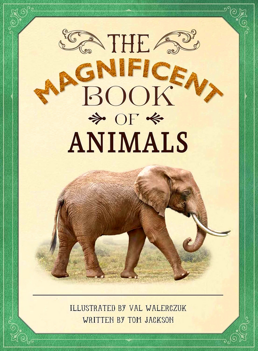 The Magnificent Book Of Animals
