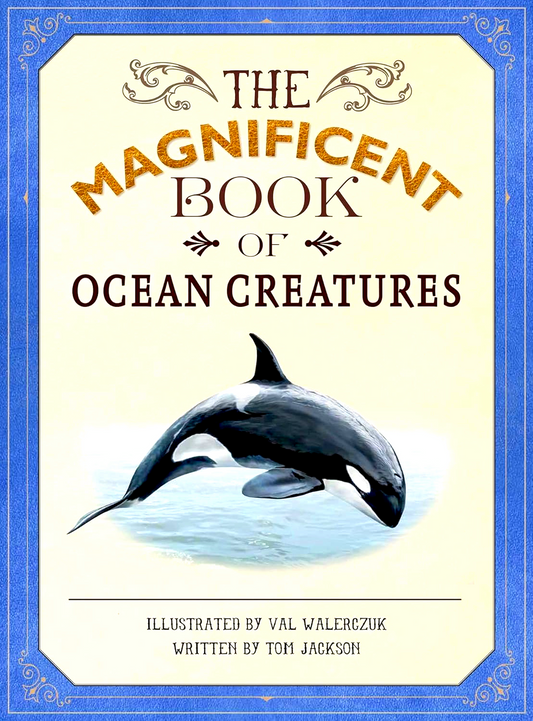 The Magnificent Book Ocean Creatures
