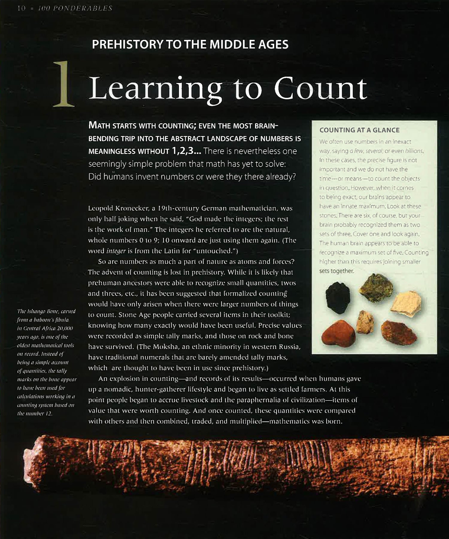 Middle Earth Math Mathematics – BookXcess