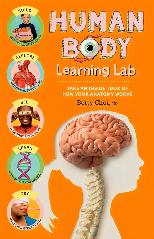 Human Body Learning Lab: Take An Inside Tour Of How Your Anatomy Works