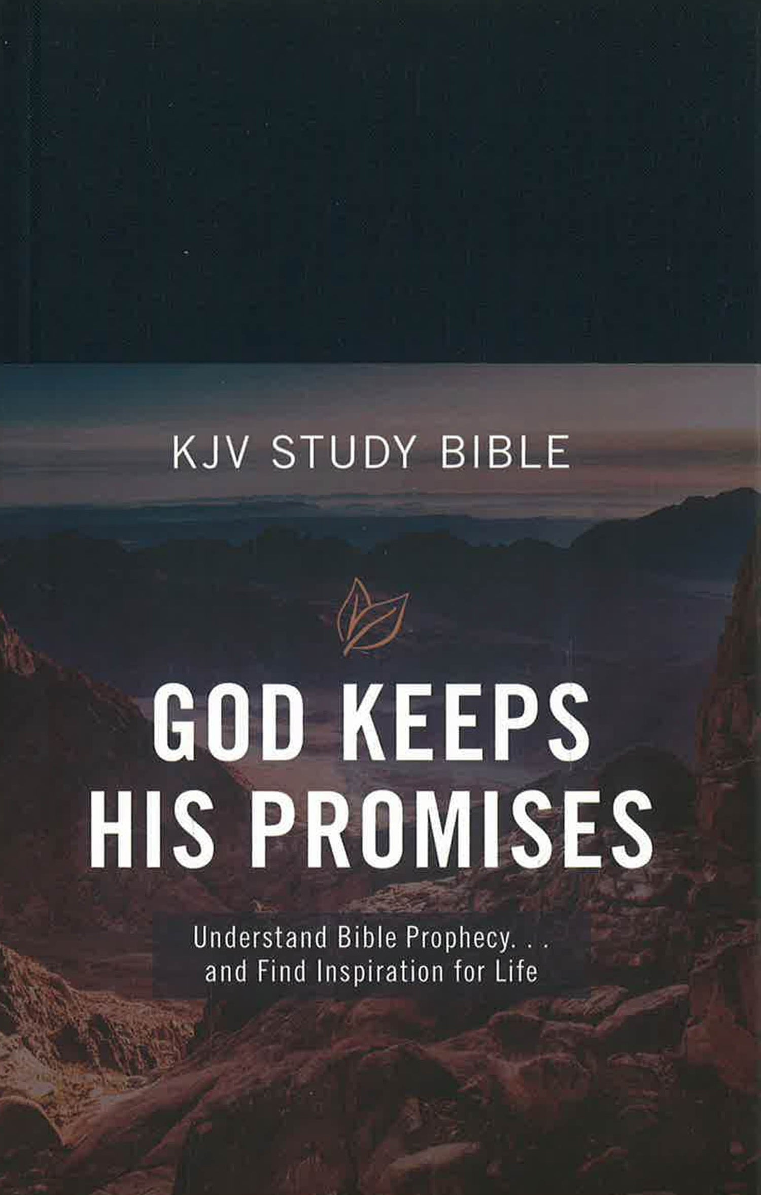 KJV Study Bible : God Keeps His Promises (Slate Leaf) – BookXcess