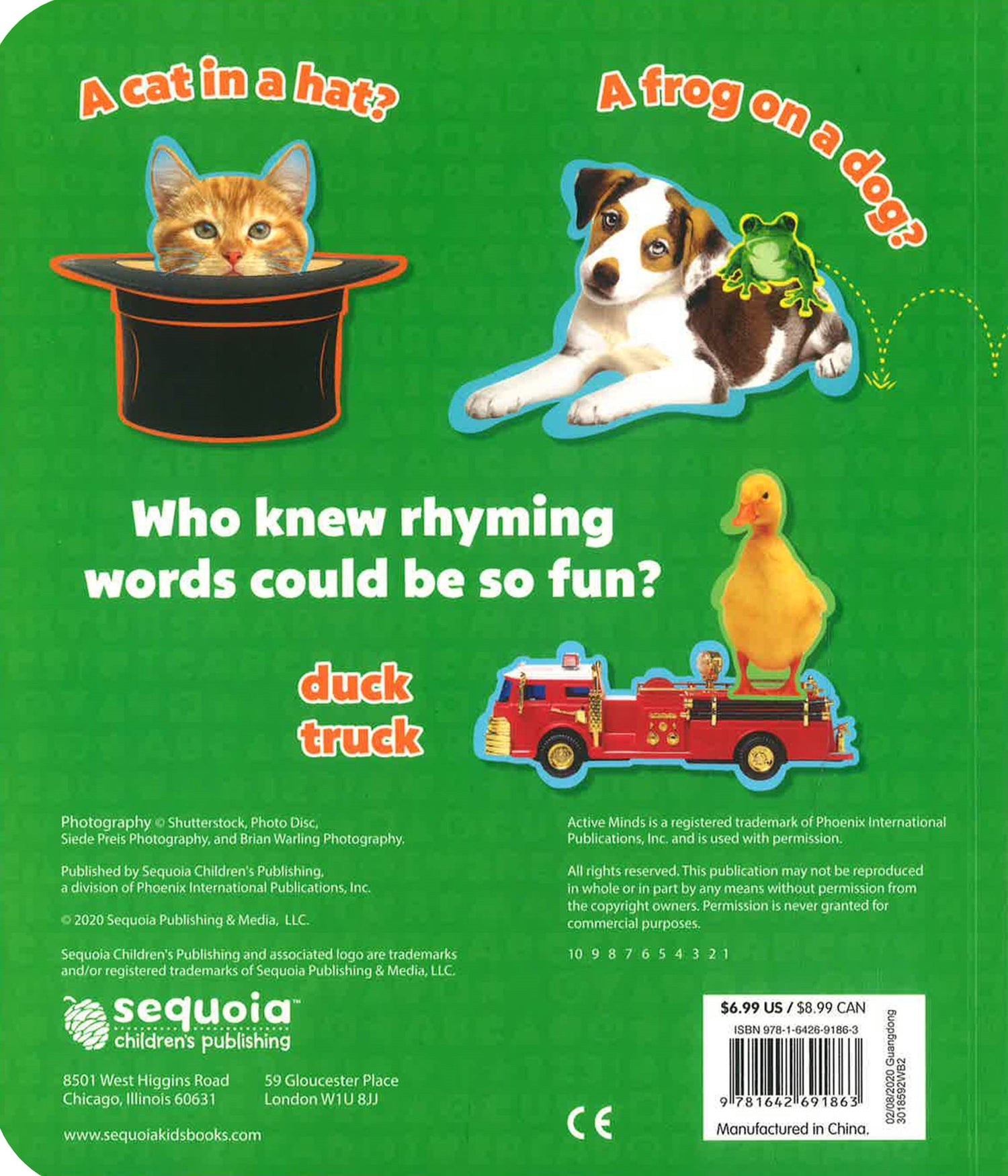 Active Minds - Rhyming Words – BookXcess