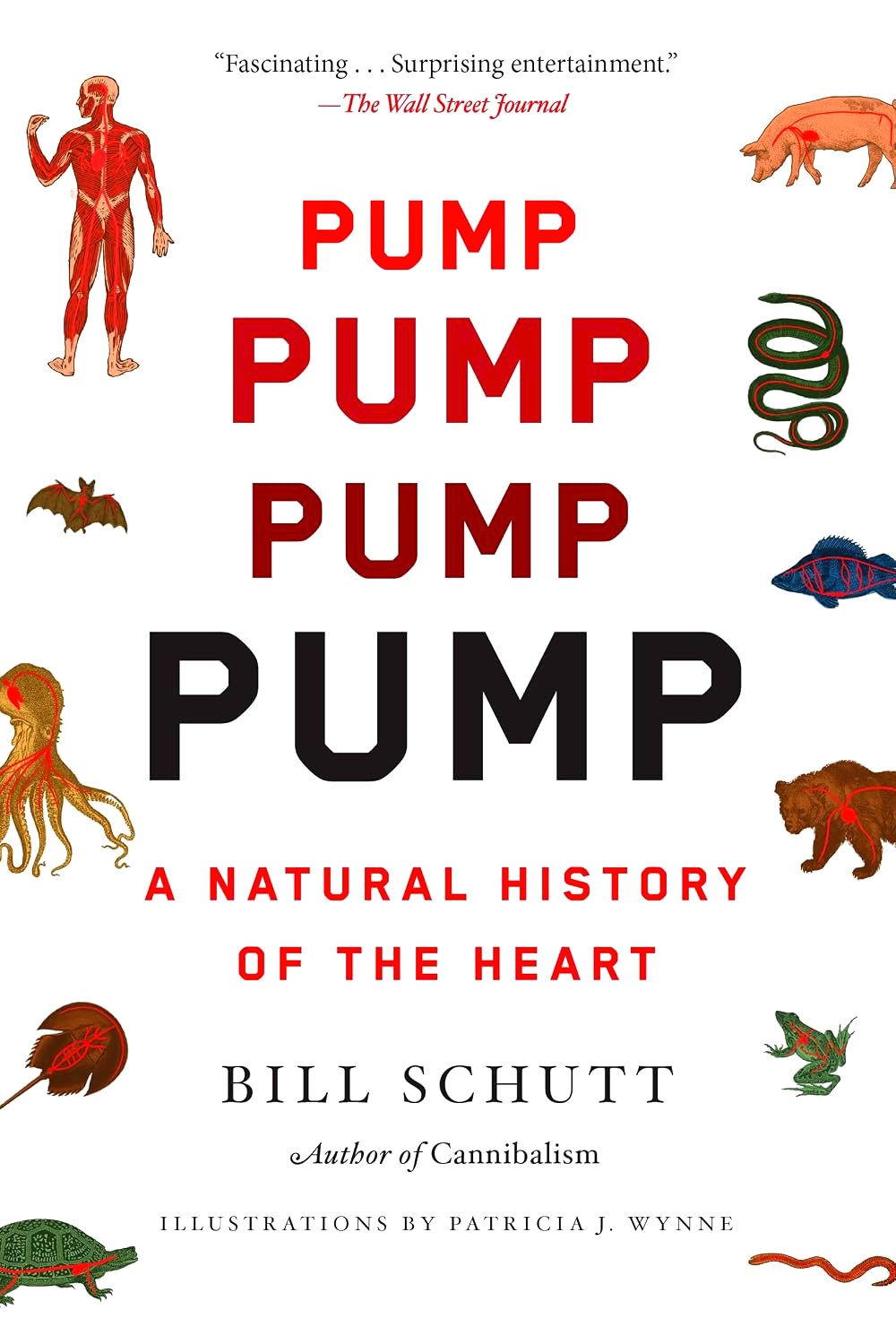 Pump: A Natural History Of The Heart by Bill Schutt – book cover