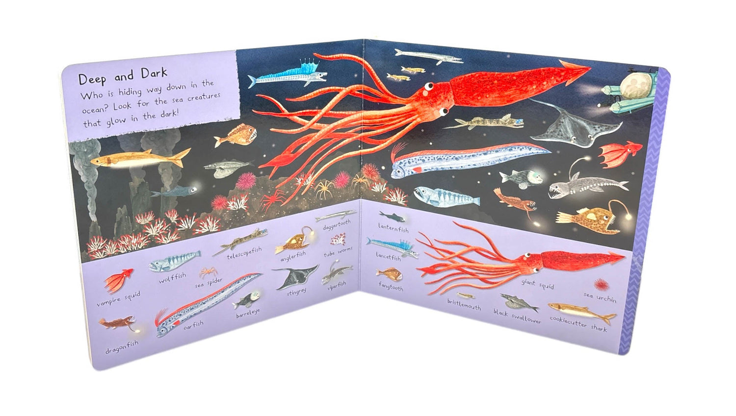 Search Creatures Search And Find: 101 Sea Creatures To Find – BookXcess