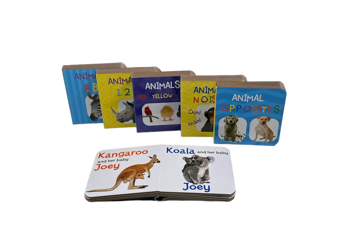Library Animals Book Little Library Animal Books (6 Book Set) – BookXcess