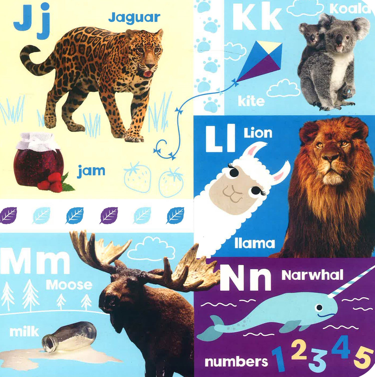 Look Abc Look And Learn ABC & 123 – BookXcess