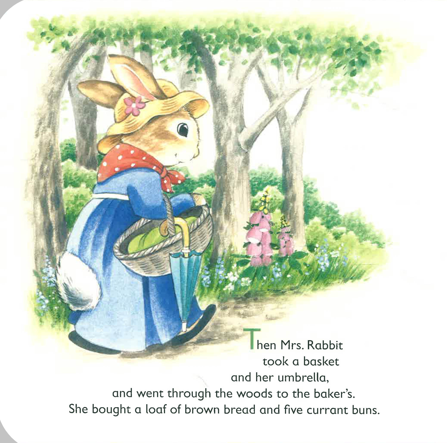 Mrs Rabbit The Tale Of Peter Rabbit – BookXcess