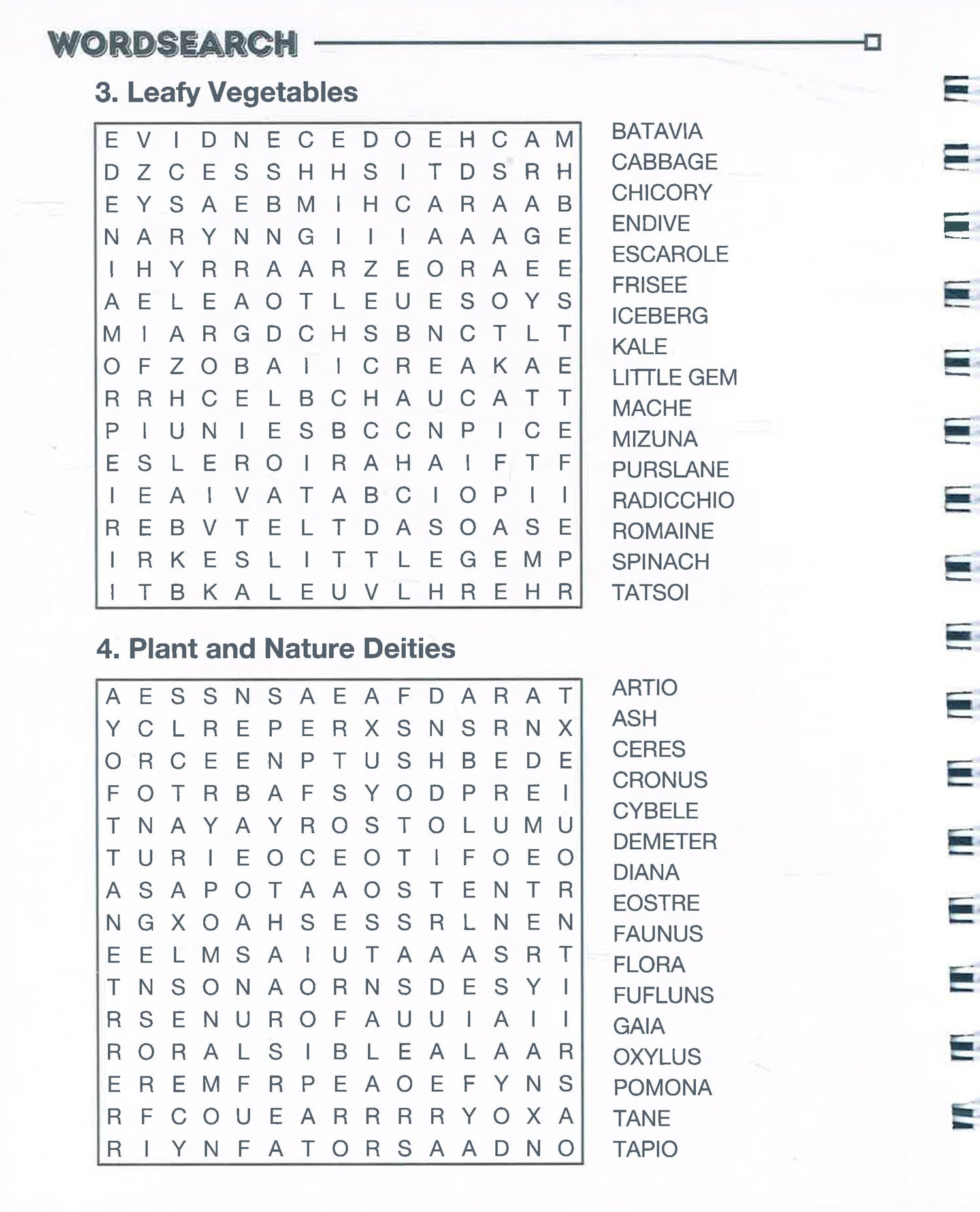 Brain Boosters Wordsearch by Page Publications – book cover