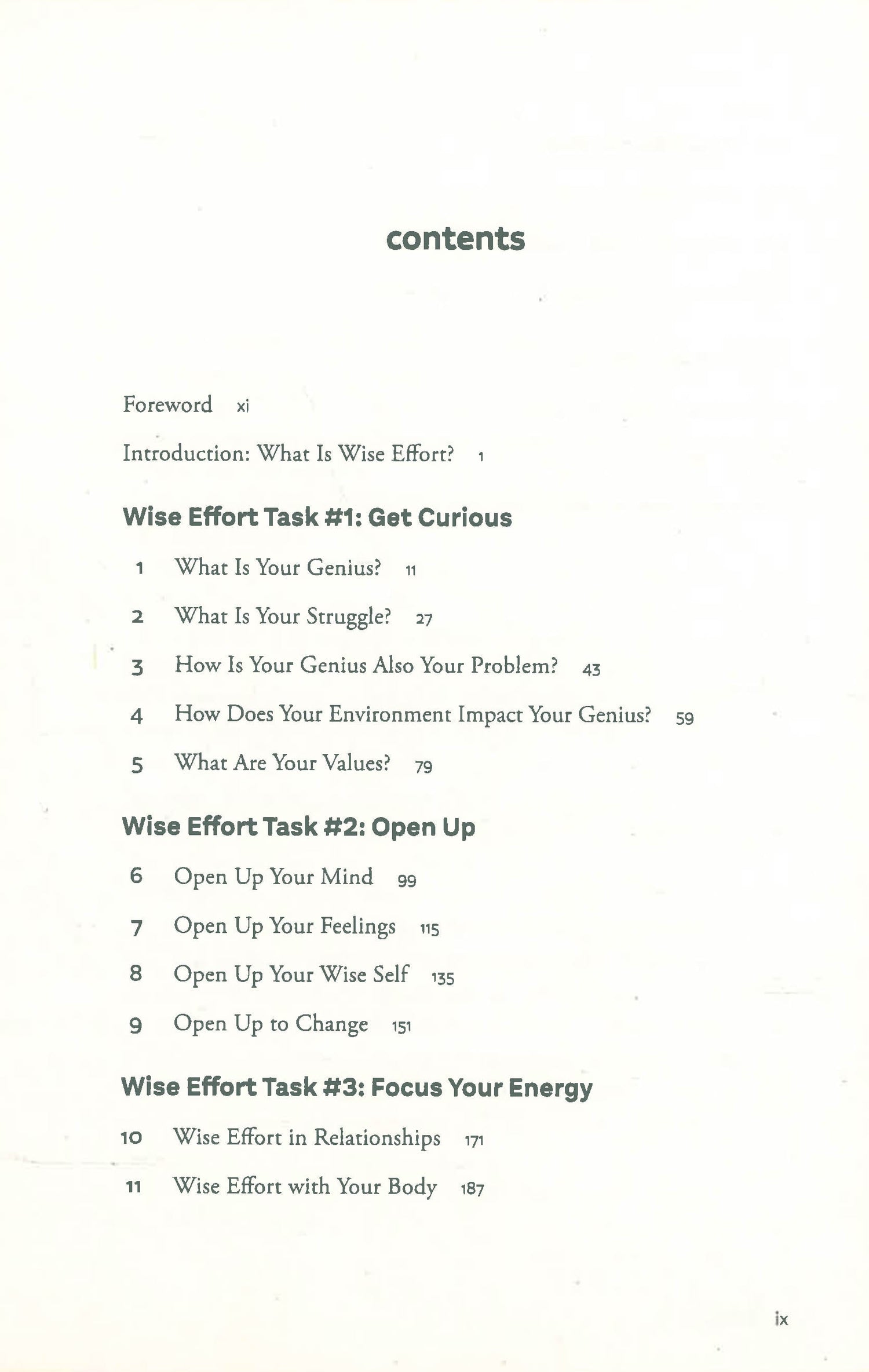 Wise Effort: How To Focus Your Genius Energy On What Matters Most by Diana Hill – book cover