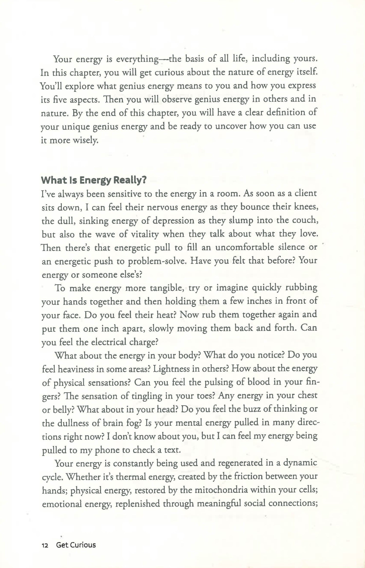 Wise Effort: How To Focus Your Genius Energy On What Matters Most by Diana Hill – book cover