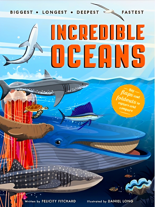 Amazing Oceans