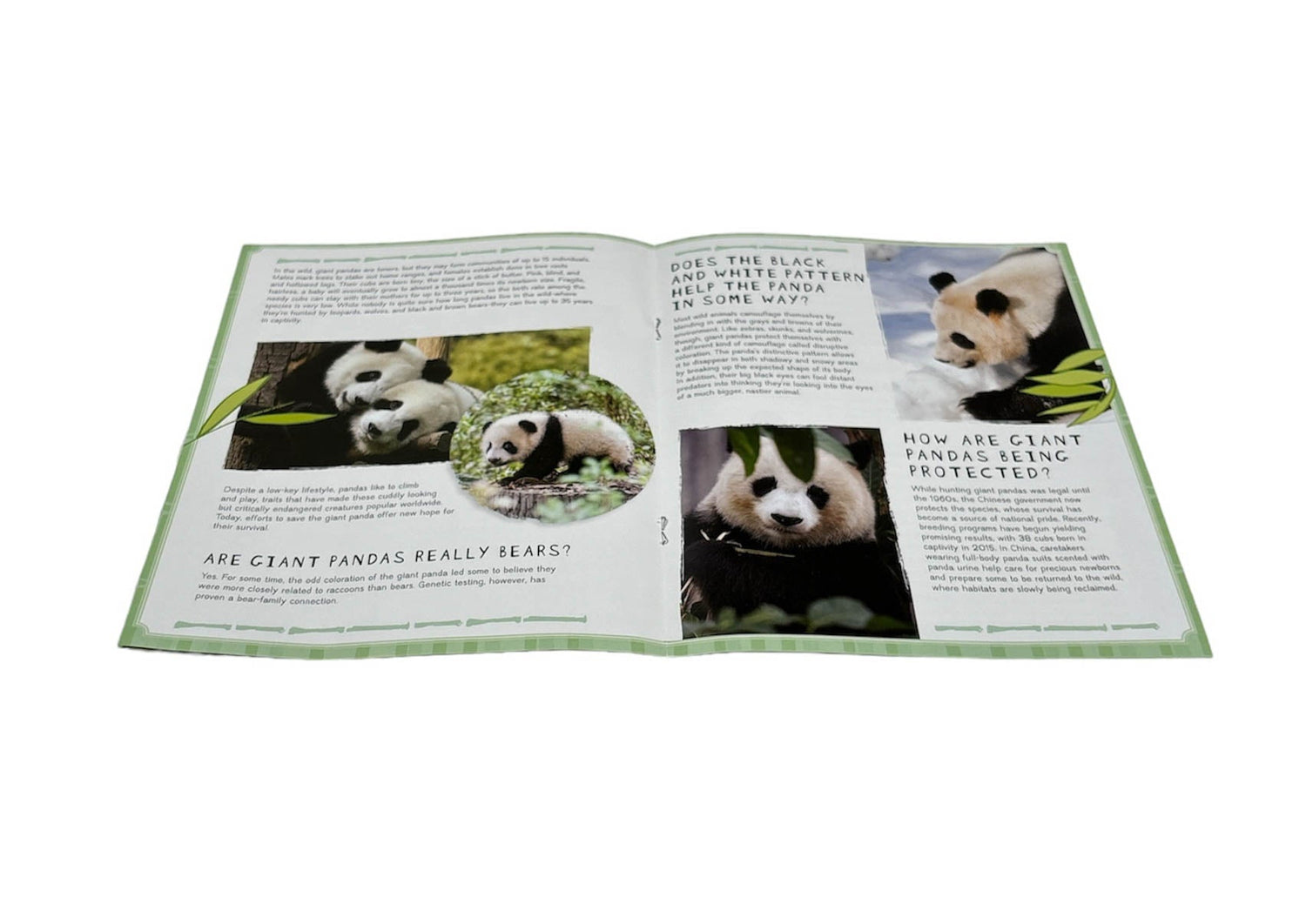 Incredibuilds: Animal Collection- Panda – BookXcess