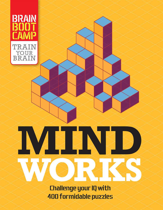 Mind Works (Brain Boot Camp)