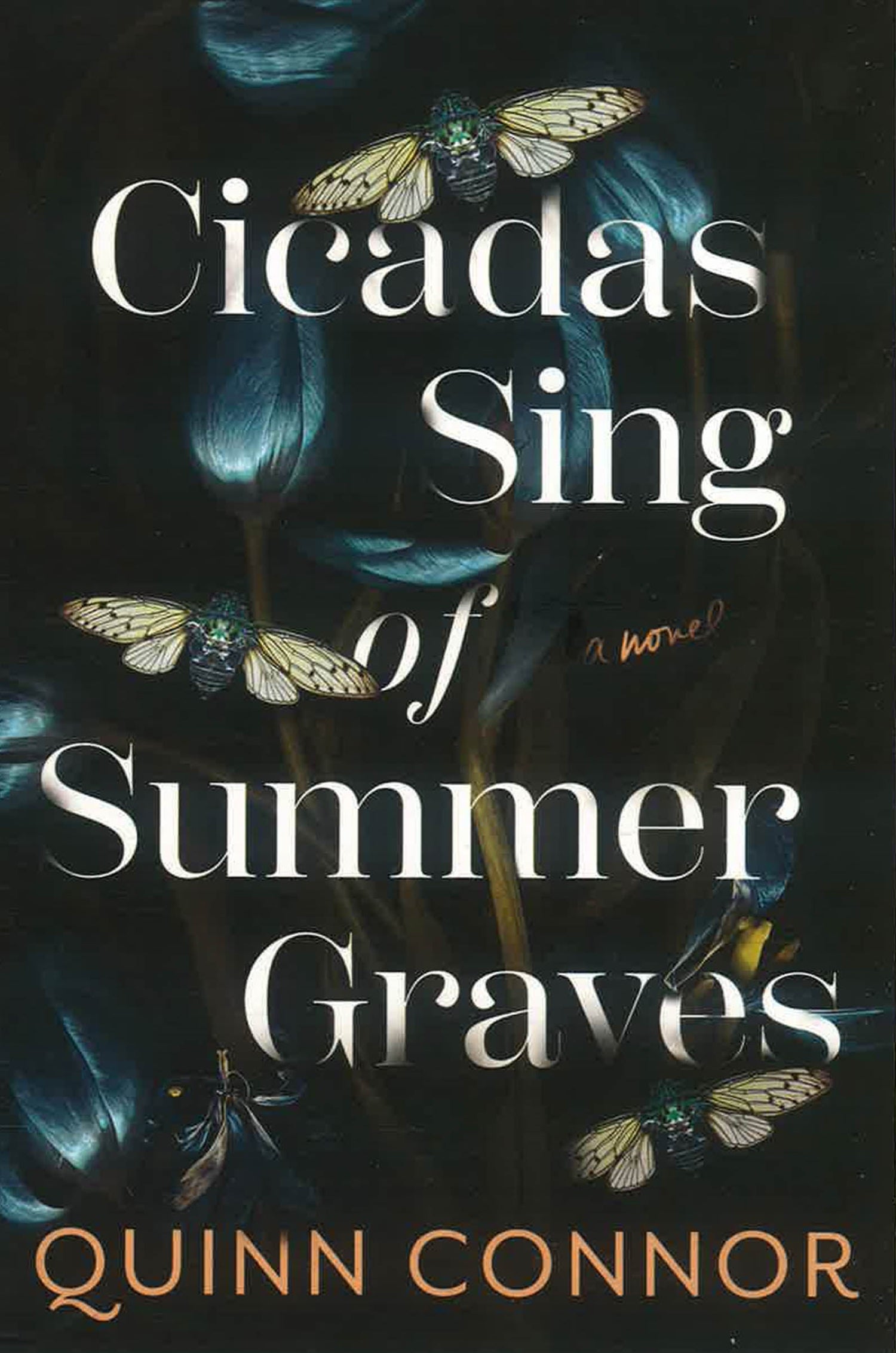 Cicadas Sing Of Summer Graves by Quinn Connor – book cover